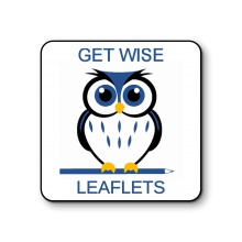 Get Wise Logo